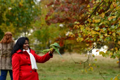 DSC_0487 (Large).JPG